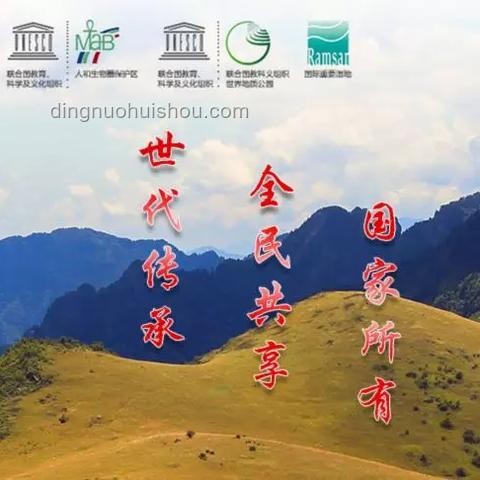 前5月中美贸易总值对比分析，下降8.1%背后的原因